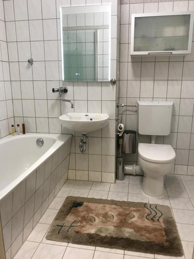 Zentrumsnahe Leipzig-Apartments, Nahe Ufz Und Bmw Inkl Parkplatz Und Fahrraeder Extérieur photo