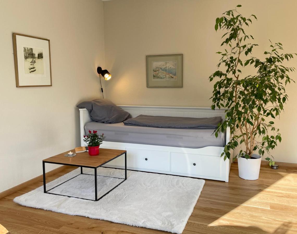 Zentrumsnahe Leipzig-Apartments, Nahe Ufz Und Bmw Inkl Parkplatz Und Fahrraeder Extérieur photo